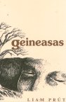 Geineasas