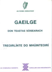 Gaeilge Don Teastas Sóisearach