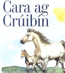 Cara ag Crúibín