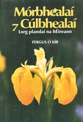 Mórbhealaí agus Cúlbhealaí