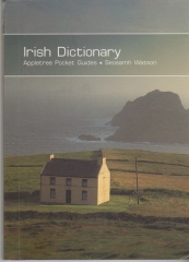 Irish Dictionary