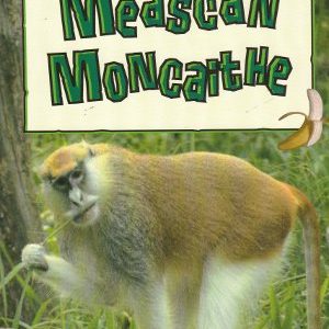 Meascán Moncaithe