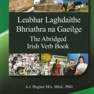 Leabhar Laghdaithe Bhriathra na Gaeilge / The Abridged Irish Verb Book