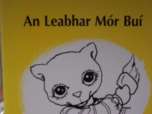 An Leabhar Mór Buí seit