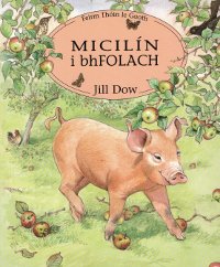 Micilín i bhFolach