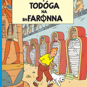 Tintin Todóga na bhFaronna