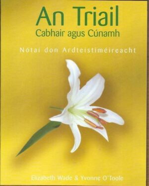 Notes for An Triail Cabhair & Cúnamh