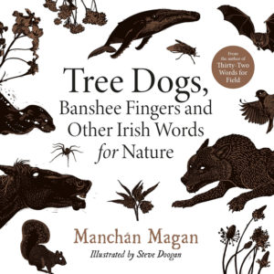 Tree Dogs, Banshee Fingers and Other Irish Words for Nature