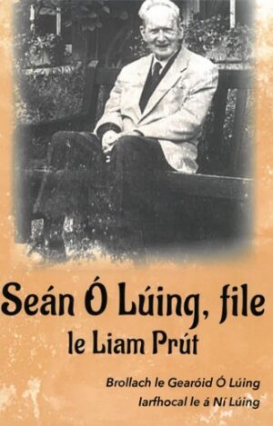 Seán ó Lúing, File