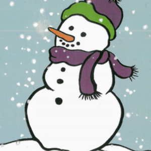 Snap Nollag