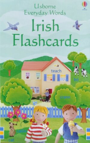 Usborne Irish Flashcards