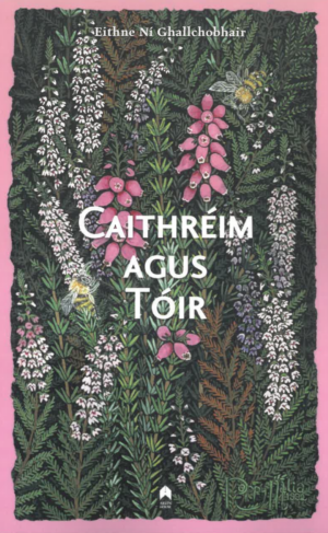 Caithréim agus Tóir