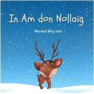In Am don Nollaig