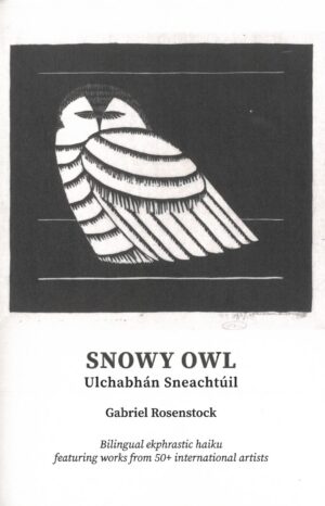 Snowy Owl (Ulchabhán Sneachtúil)