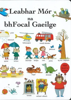 Leabhar Mór na bhFocal Gaeilge